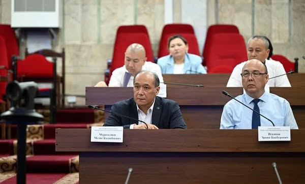 Комитет ЖК в первом чтении одобрил изменения в конституционный закон о применении государственного языка