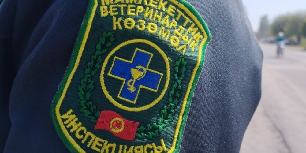 Ветеринария, мал чарбасын өнүктүрүү, жайыт жана тоют кызматы биринчи жарым жылдыктын отчеттук жыйынын өткөрдү