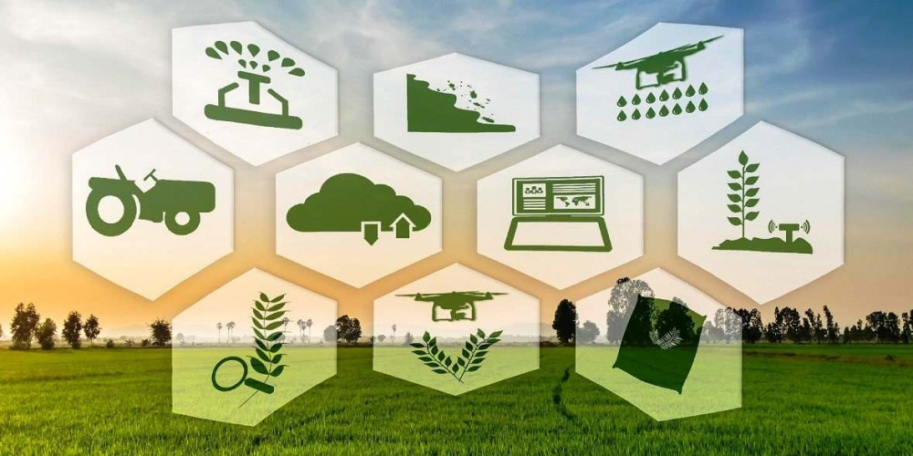 Кыргызстандагы бир катар өндүрүшчүлөр эл аралык GLOBAL G.A.P. сертификатын алышты