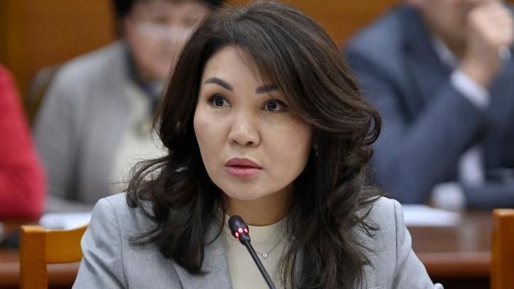 Депутат Элвира Сурабалдиева билим берүү үчүн пайызсыз кредиттерди киргизүүнү сунуштады