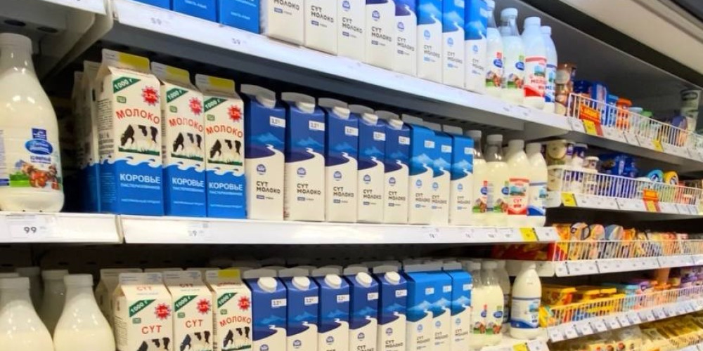 Өлкөдө сүт азыктарын кайра иштетүүчү 30 инкана өз продукцияларын ири соода түйүндөрүнө жетткирет