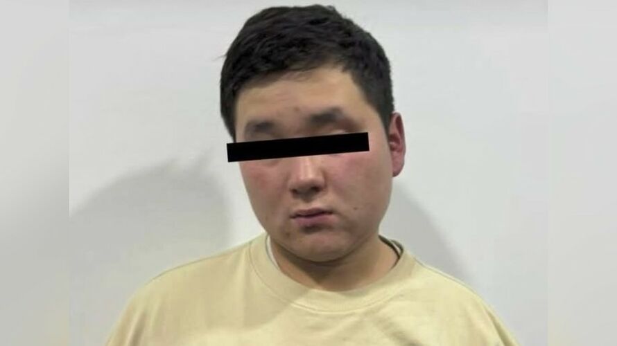 Ак-Ордодогу бир туугандардын өлүмү. Шектүү кармалды