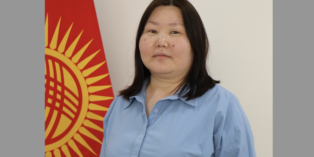 Мээрим Байболова: Өспүрүмдөр жана фейк жаңылыктар: маалыматтын чын-төгүнүн кантип аныктоо керек