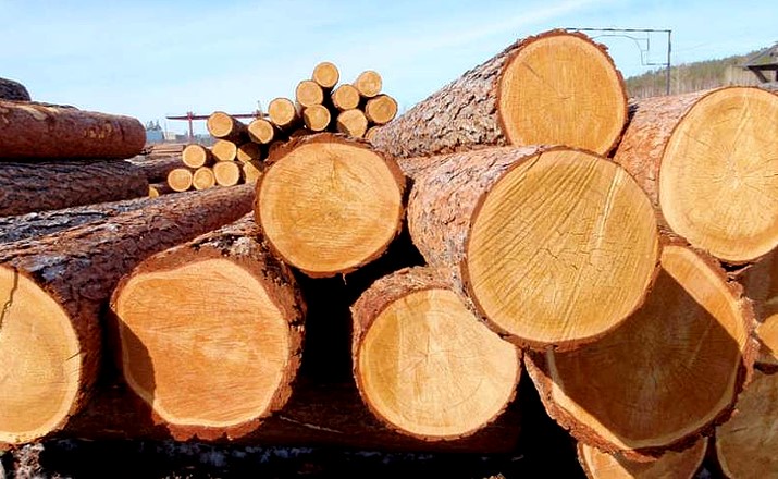 ​​​​​​​Куда экспортирует древесину Кыргызстан?
