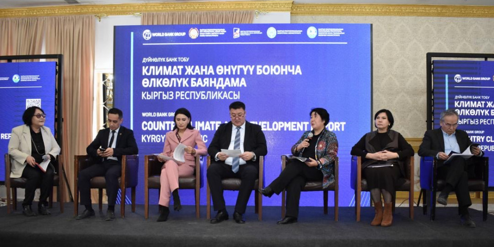 Кыргызстан климаттык коркунучтарга туруштук берип, жашыл экономикага багыт алууда