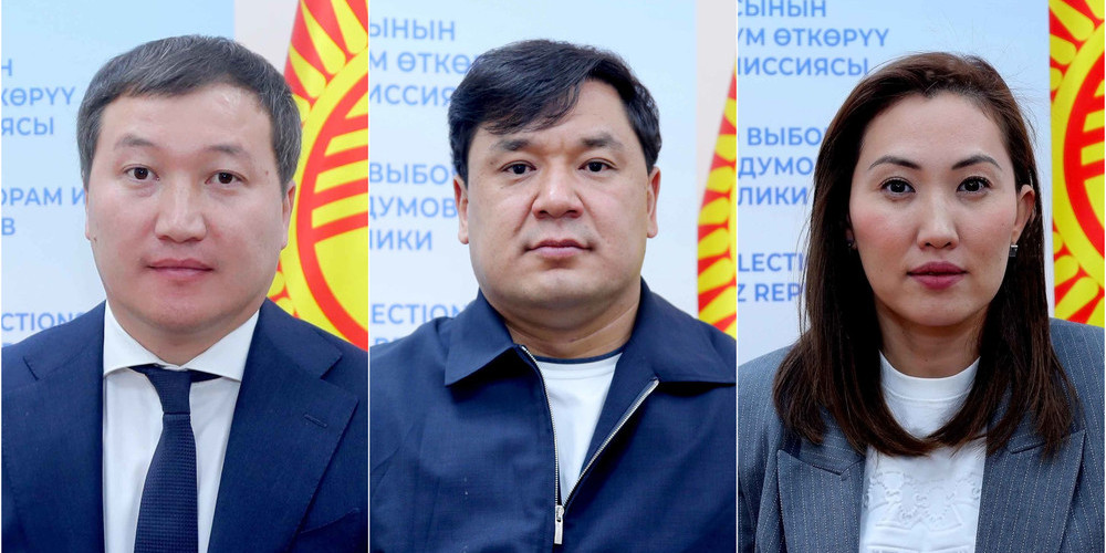 КР БШК № 30 шайлоо округу боюнча шайлоонун жыйынтыктарын бекитти