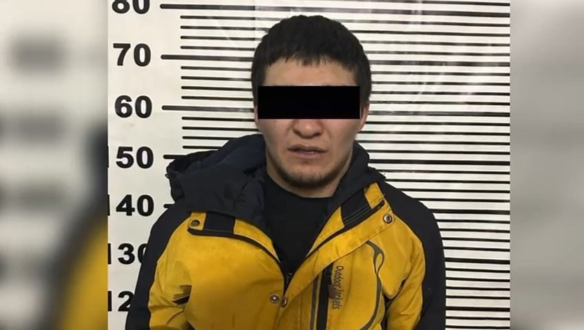 В Чуйской области задержаны подозреваемые в краже лошади