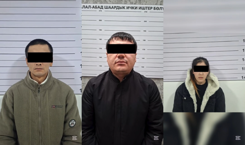 Манас шаарында психотроптук заттарды колдонуп жүргөн үч жаран кармалды