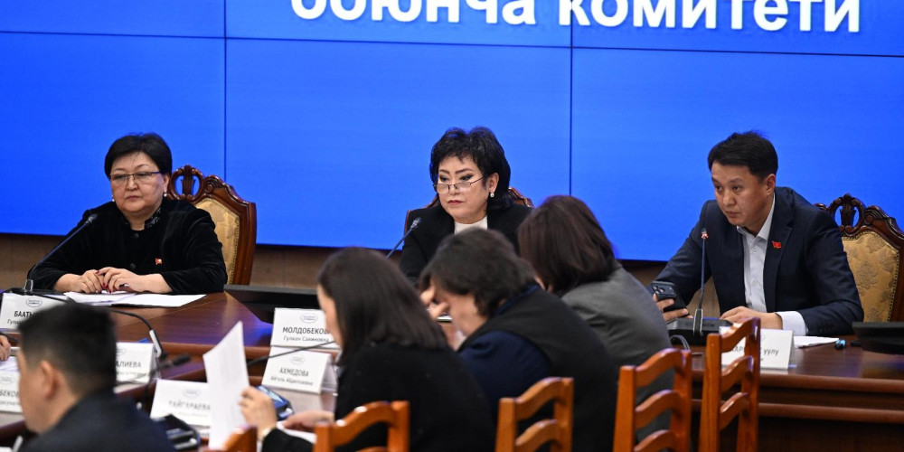 Баңгизат каражаттарынын жаңы түрлөрүн мыйзамсыз жүгүртүүгө каршы күрөшүүгө багытталган мыйзам долбоору сунушталууда