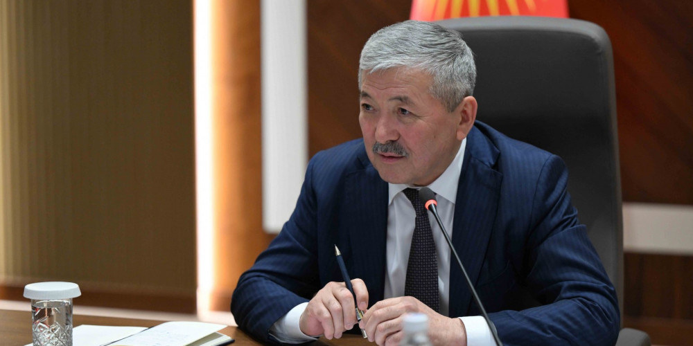 Касымалиев: доля малого бизнеса в ВВП выросла до 51%