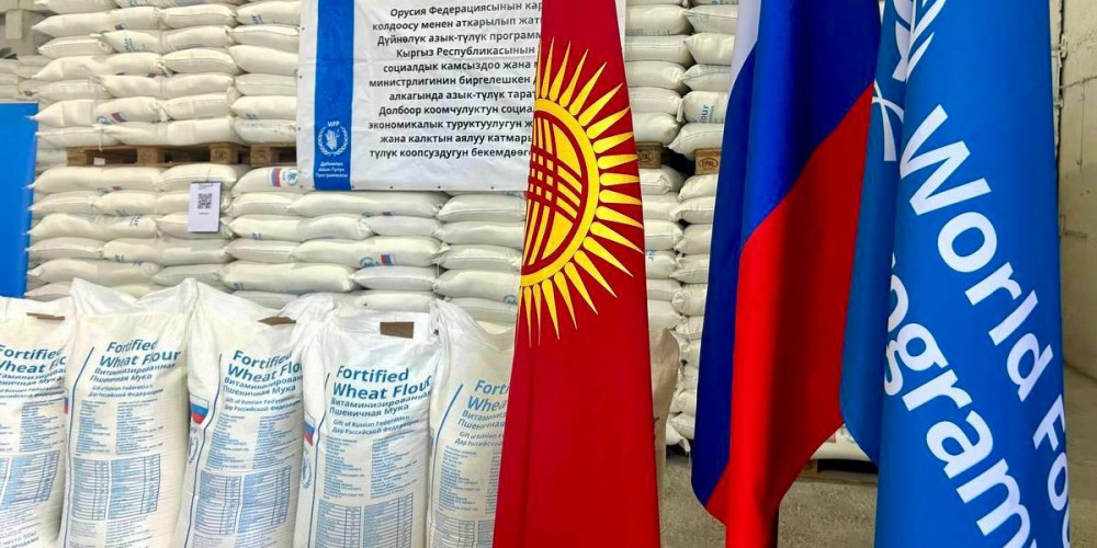 За 17 лет Россия профинансировала гуманитарные проекты в Кыргызстане на 122 млн долларов