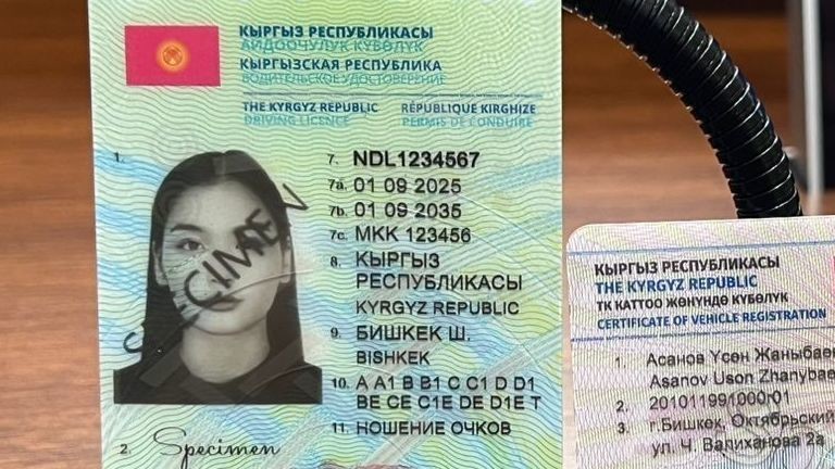 Временное водительское удостоверение: что это и кому его будут выдавать?
