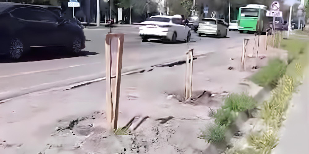 В Кыргызстане за каждый погибший саженец обяжут высаживать два новых дерева