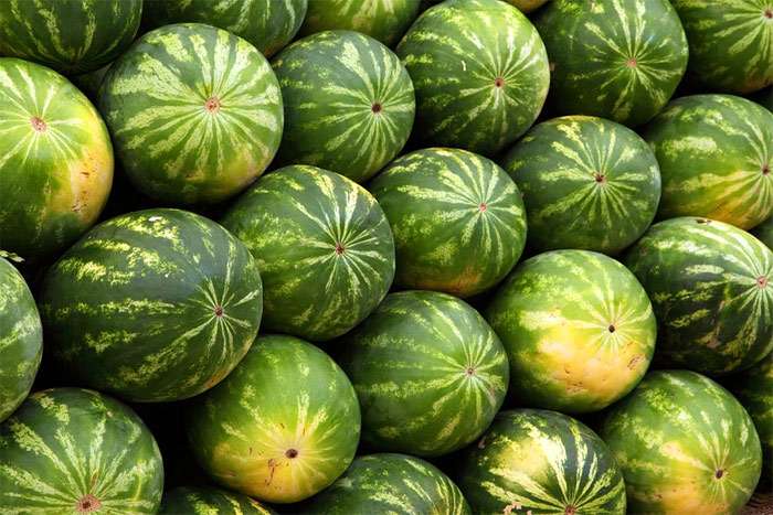 Арбузы без маркировки не прошли границу: 21 тонну продукции вернули в Узбекистан