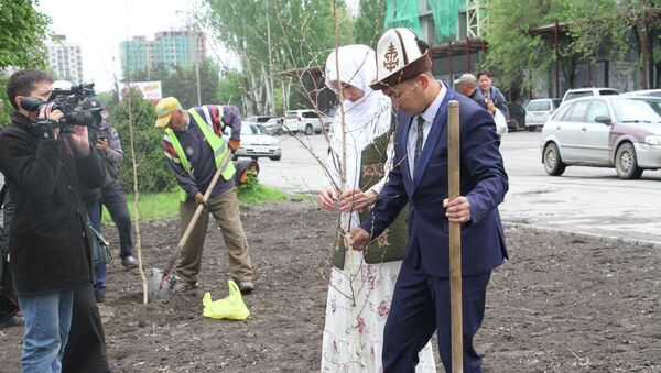 В Бишкеке молодожёнам предложили сажать деревья: цена – от 7 до 15 тыс. сомов