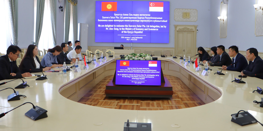 Сингапурская компания планирует запустить в Кыргызстане производство солнечных элементов мощностью до 2 ГВт