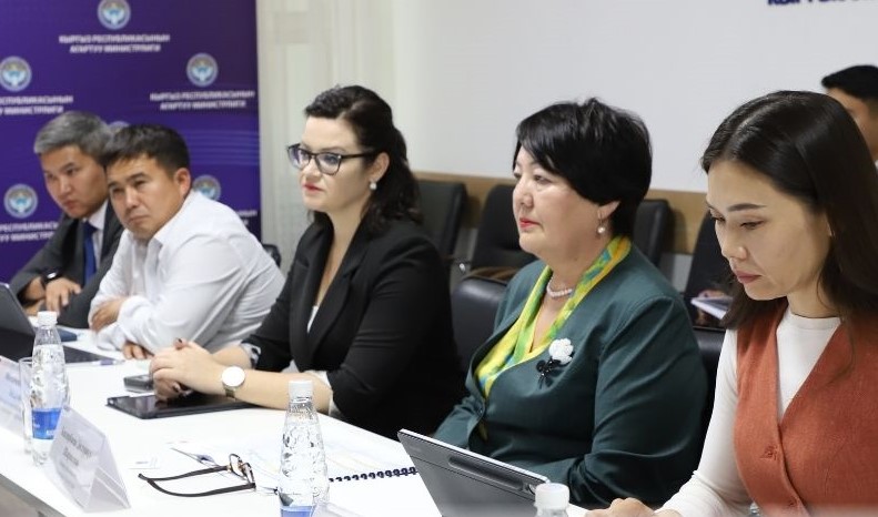 ​​​​​​​Кыргызстан и ЕФСР обсудили подготовку востребованных рабочих кадров