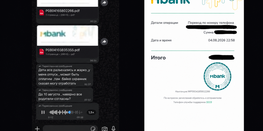 В Бишкеке родителей попросили заплатить вместо летней практики – в соцсетях разгорелся спор