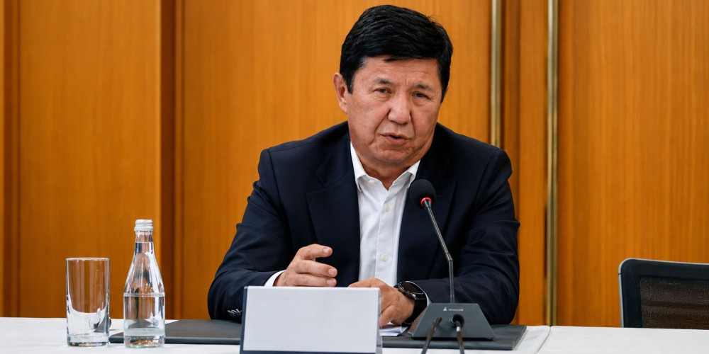 Темир Сариев назвал главные барьеры для бизнеса в рамках евразийской интеграции