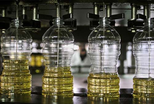В Чуйской области построят масложировой завод за $89 млн