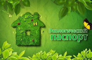 Для малого и среднего бизнеса в Кыргызстане хотят упростить экологические паспорта