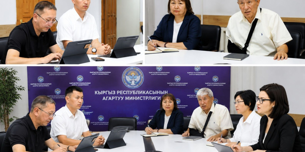 В Кыргызстане усилят профилактику буллинга: Минпросвещения проведет круглый стол