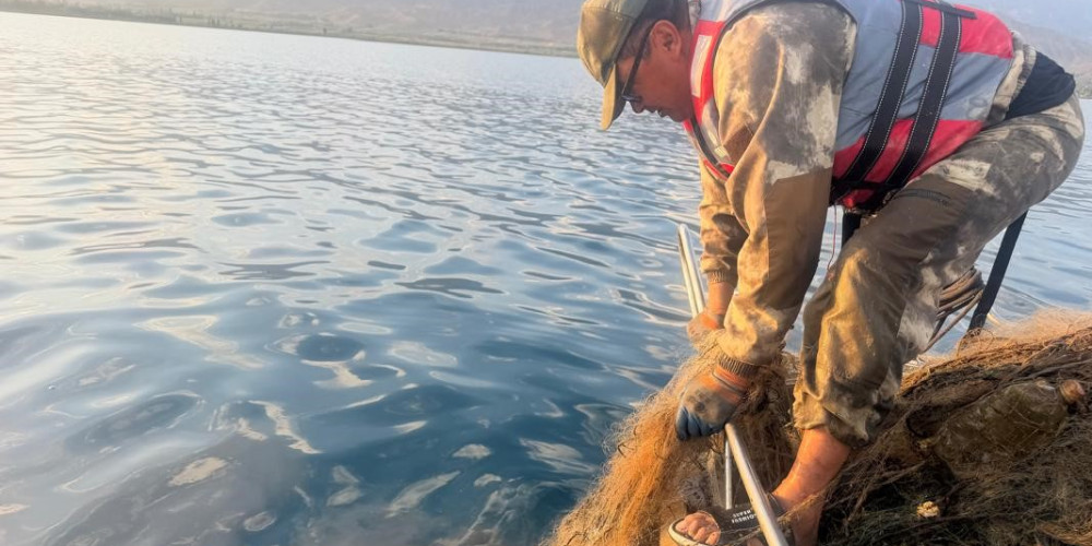 На Иссык-Куле за три дня из воды вытащили 3,7 километра браконьерских сетей