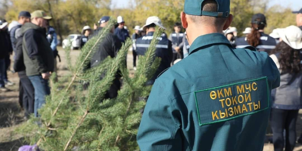 Токой кызматы Жаратылыш ресурстары министрлигинин карамагына өттү