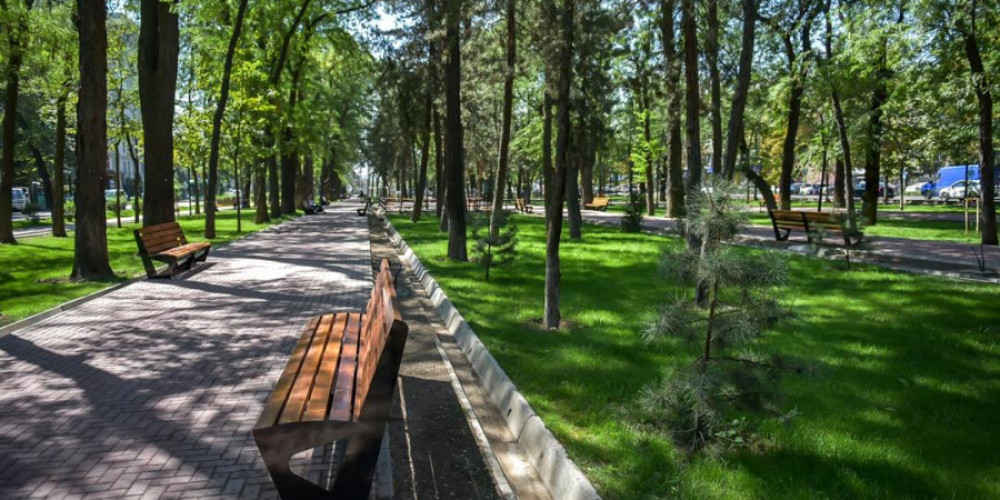 Мэр Айбек Джунушалиев сейил бактарда жана скверлерде иттерди сейилдетүү үчүн атайын жайларды караштырууну тапшырды