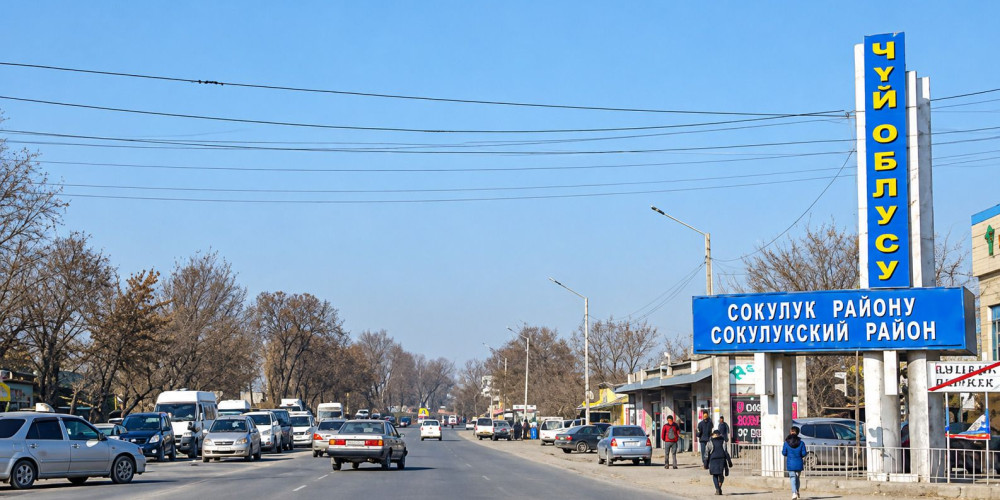 В Сокулуке милиция начала проверку видео с женщиной, требовавшей от прохожих «ехать в Лейлек»