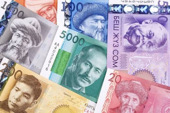 В Кыргызстане впервые напечатали собственные банкноты номиналом 20 и 50 сомов