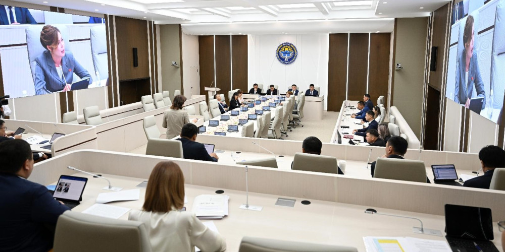 Тармактык комитет ири инвестициялык долбоорлор үчүн жерлерди берүү маселесине байланышкан мыйзам долбоорун карады