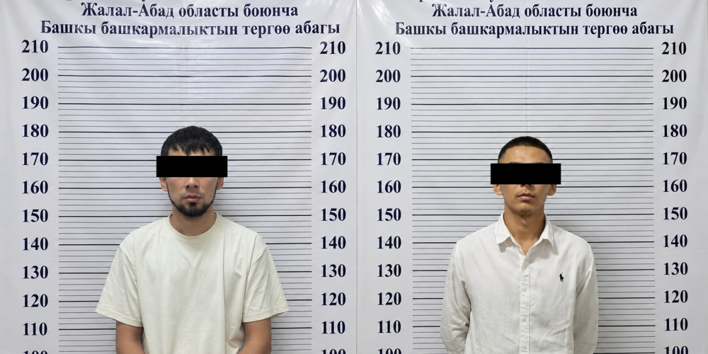 В Ноокене около 100 водительских удостоверений незаконно выдали без сдачи экзаменов – ГКНБ