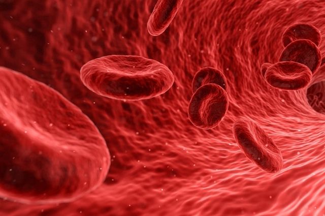 В Кыргызстане люди с отрицательным резус-фактором составляют около 7–8% – Центр крови