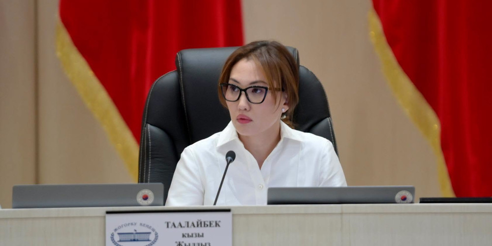 Парламентте өзгөчө корголуучу жаратылыш аймактарына байланышкан жагдайлар талкууланды