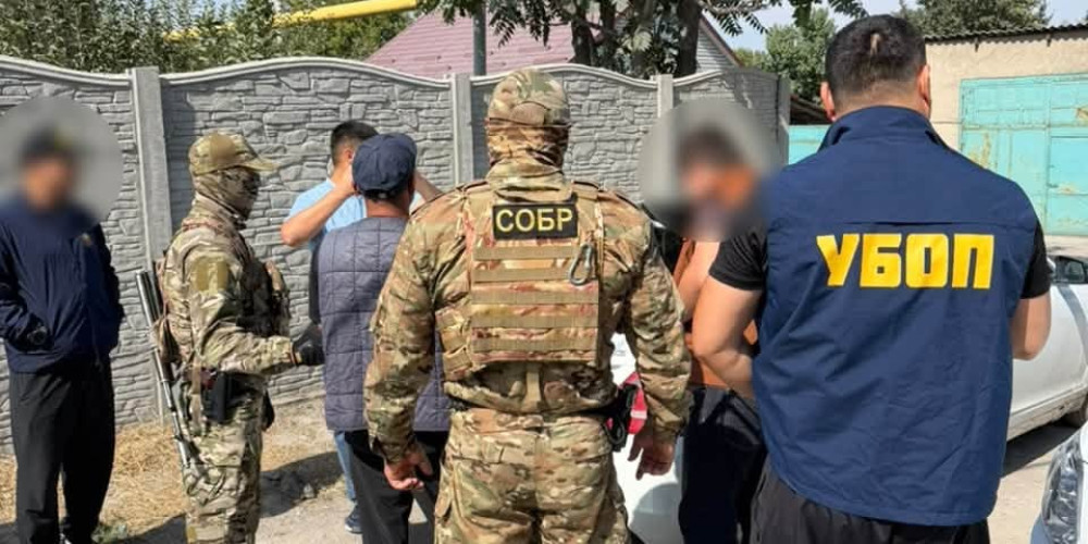 ИИМ: Баңгизатты мыйзамсыз жүгүртүүгө шектелген жаран кармалды