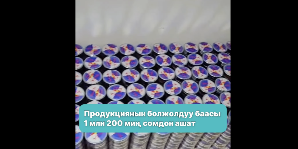 В аэропорту Оша выявлена партия запрещённой никотиносодержащей продукции
