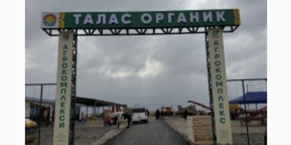 «Талас Органик»: в Таласе запустили агрокомплекс полного цикла