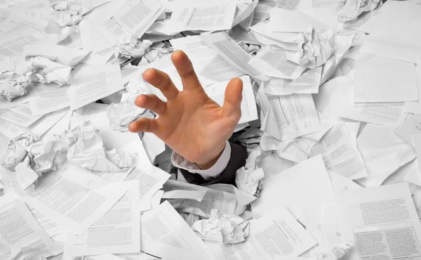 В Кыргызстане хотят сократить бюрократию для инвесторов и установить сроки рассмотрения их жалоб
