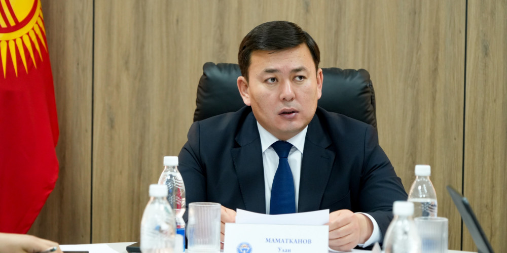 В Кыргызстане создадут оргкомитет по подготовке к Олимпиаде-2028 в Лос-Анджелесе