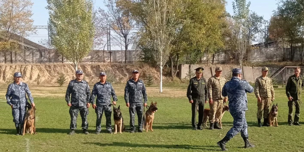 В Кыргызстане впервые провели межведомственные соревнования кинологов со служебными собаками