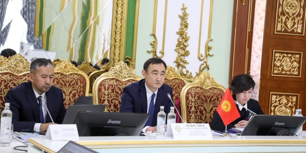Кыргызстан чек аралык төлөмдөр жаатындагы кызматташтыкты өнүктүрүүдө