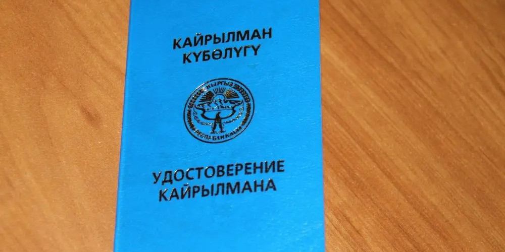 Кыргызстанда 2024- жылы 1,2 миңден ашуун этникалык кыргыз кайрылман статусун алды