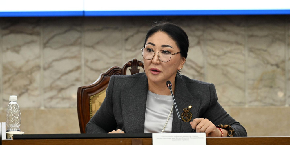Комитетте «Мунапыс берүү негиздери жана аны колдонуу тартиби жөнүндө» мыйзамга киргизилип жаткан өзгөртүүлөр каралды