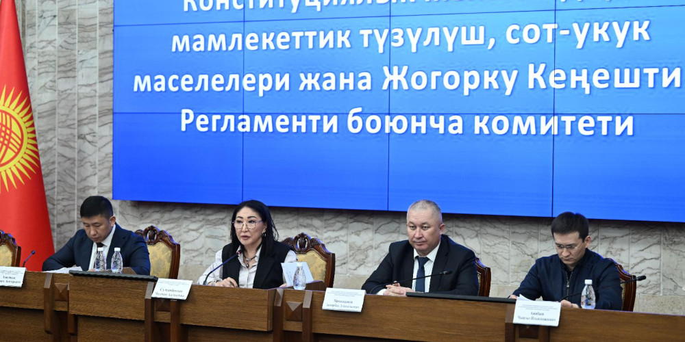 Комитет президентти жана депутаттарды шайлоо жөнүндө конституциялык мыйзамга өзгөртүү киргизүүнү талкуулады