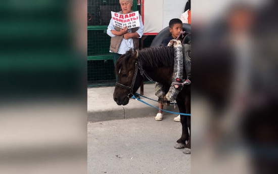На пляже в Балыкчы пожаловались на истощенную пони, которую запрягают в тележку с людьми