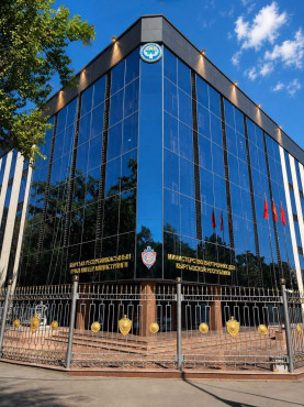 МВД: Сведения о нападении на Адахана Мадумарова не соответствуют действительности