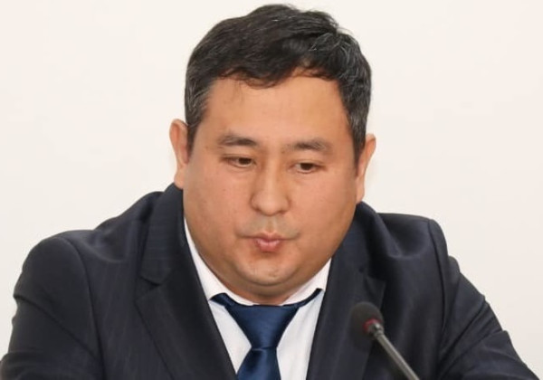 Альберт Махметкулов билим берүү министринин орун басары болуп дайындалды