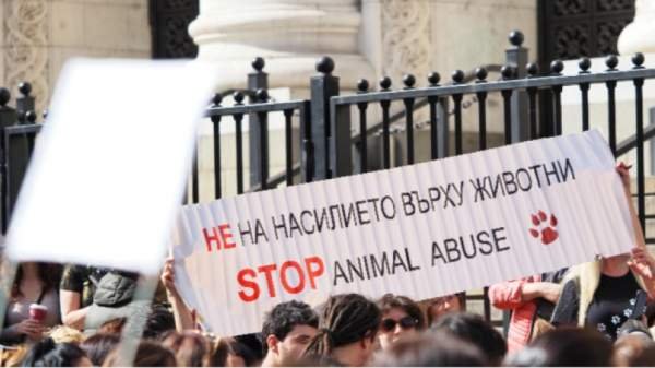 Массовые акции в защиту животных прошли по всей Болгарии