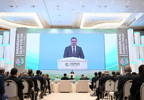 Акыркы 70 жылда Кыргызстанда мөңгүлөрдүн аянты 16%га азайды